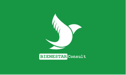 Bienestar Consult